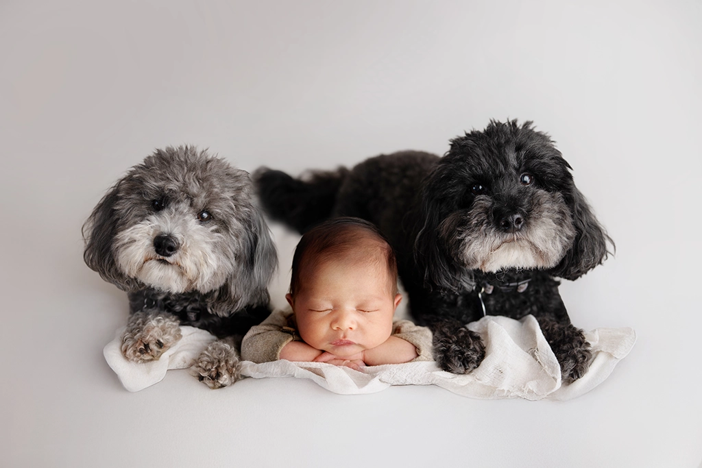 Newborn baby photographed with two family dogs during a newborn photography session in Enfield, North London