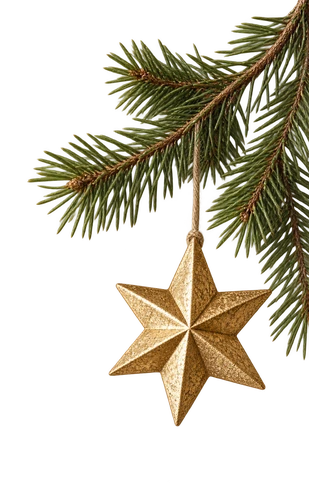 Gold Christmas star hanging from a pine branch decoration for Christmas photography sessions in Enfield, North London